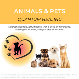 Pets and Animals - Quantum Healing